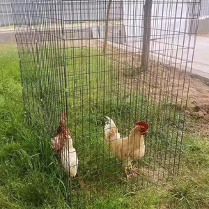 Poulaillers pliants économiques en métal 70x70, <span class=keywords><strong>cages</strong></span> portables 1x1 pour combats de poulets, pour les pigeonneurs et les oiseaux volatiles - Product Image 4