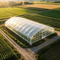 Serre agricole multi-travées à simple couche, grande, durable et économique, avec structure en acier galvanisé et couverture en film PE pour l'agriculture