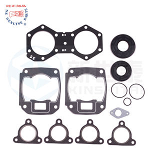 Kit completo de piezas de repuesto BRP600 e-tec para moto de nieve, Kit completo de alta calidad con juntas de aceite - Product Image 3