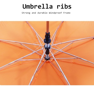Paraguas Promotional <b>Umbrella</b> Cheap Custom Print <b>Umbrella</b> Windproof <b>Umbrella</b> Auto Open and Manual Close 2 Fold <b>Umbrella</b> - Product Image 4