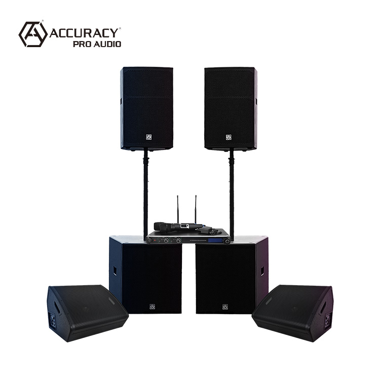 Precisione Pro Audio WHN15-COMBO altoparlanti Audio sistema Audio suono musica professionale all'aperto DJ Set PA sistema Audio