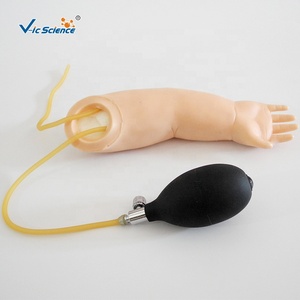 Suministros Médicos: Brazo de Entrenamiento Avanzado para Punción Arterial en Bebés, para Educación Escolar - Product Image 1
