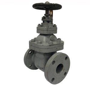 Válvula de Compuerta Manual de Acero al Carbono de 1/2 Pulgada de la Mejor Calidad con Cuerpo A105 para la Industria del Petróleo y Gas, Compatible con OEM y ODM - Product Image 5