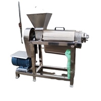 Blauwe bessen en kurkuma fruitpers met hoge opbrengst, meloensapcentrifuge, roestvrijstalen uienspiraalpers, 3000W