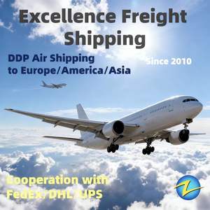 高速航空便FBA配送代行 DHL UPS FedEx提携フォワーダー DDP 長沙 深圳 東莞発 マインツ マンハイム ムンスター行き - Product Image 3