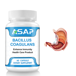 Aditivos alimentarios probióticos en polvo Bacillus coagulans suplemento cápsulas de Bacillus coagulans - Product Image 2