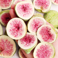 Natuurlijk gevriesdroogde vijgenschijfjes, bulk FD fruit grondstof, aangepaste verpakkingen & private label beschikbaar