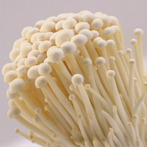 Extrait de <span class=keywords><strong>champignon</strong></span> Enoki de haute qualité, polysaccharide naturel, qualité alimentaire, testé HPLC/UV, partie fruitée utilisée, certifié Halal, en poudre - Product Image 4