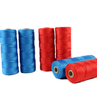 Fabricant de ficelle d'emballage en plastique de couleur personnalisée tressée en corde de ficelle PE torsadée en polyéthylène PE