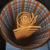 Décoration de miroir infini 3D avec éclairage LED, enseignes lumineuses, source de lumière néon, alimentation AC/DC, utilisation en extérieur