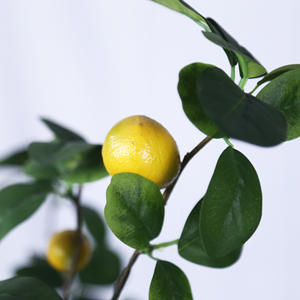 Vente en gros <span class=keywords><strong>de</strong></span> mini arbres fruitiers artificiels en plastique Calamondin et Citronnelle, plantes d'intérieur décoratives <span class=keywords><strong>de</strong></span> Noël - Product Image 3