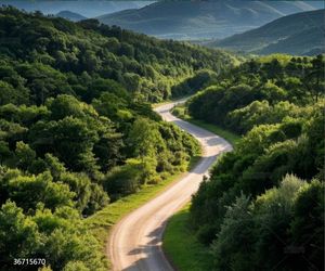 Papier peint à la main pour murs Papier peint peint à la main avec papier peint décoratif en fibre <span class=keywords><strong>de</strong></span> carbone - Product Image 1