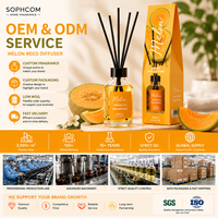 Diffuseur à bâtonnets 100 ml – Parfum d'ambiance de luxe pour la maison – Huile parfumée – Bouteille en verre haut de gamme – Désodorisant longue durée pour la pièce – Cadeau pour homme