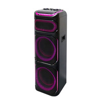 Promotion Stock Enceinte de Fête Double 12 Pouces 80W pour Extérieur avec Audio Bluetooth et Deux Microphones Sans Fil Lumière LED Colorée