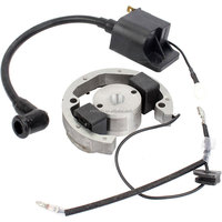 Pièces ATV, stator en alliage, rotor, volant d'inertie, bobine d'allumage pour KTM 50 SX 50cc Senior Pro