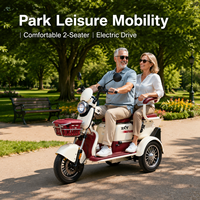 Tricycle Électrique Familial en Gros, Autonomie 70 km, Batterie Plomb-Acide 60V32AH, Moteur 1000W, Vélo Électrique Adulte, Scooter Tricycle à 3 Roues