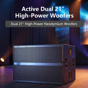 SUB 9007 Subwoofers actifs, module d'amplification pour enceintes Line Array, double subwoofer de 21 pouces - Product Image 2