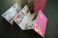 Impression de brochures pliées en trois parties personnalisées Starshine A4/A5 |   Conception Gratuite, Papier Couché de Haute Qualité, Impression Offset, Laminage de Films