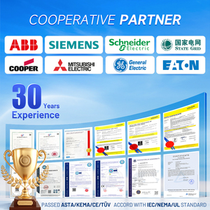 40.5kv Epoxy cách điện Tay áo MV switchgear Epoxy nhà ở cho vi chân không interrupter phụ tùng cách điện Ống cách điện xi lanh - Product Image 5