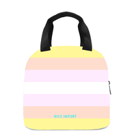 Sac à déjeuner arc-en-ciel Lithosexual pour femmes et hommes, sac fourre-tout réutilisable, sacs à déjeuner isothermes pour le travail, le pique-nique, l'école ou les voyages