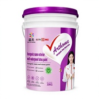 Pintura Inorgánica Nano para Paredes Exteriores, Revestimiento de Látex Impermeable, Acabado para Superficies de Mampostería, Color Personalizado