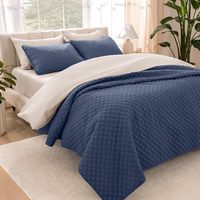 Ensemble de couvre-lit léger pour la décoration de lit - Alternative au couette, couvre-lit matelassé toutes saisons, taille Twin/Twin XL