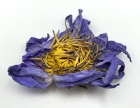 Thé en sachets de fleurs de lotus bleues séchées fermentées 100 % naturelles, marque privée OEM