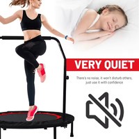 Trampolín para adultos, cama de salto interior, trampolín pequeño, gimnasio en casa, trampolín para niños, plegable personalizado