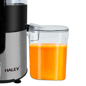Haley 1200W Mélangeurs électriques à grande vitesse et centrifugeuses <span class=keywords><strong>Extracteur</strong></span> <span class=keywords><strong>de</strong></span> fruits pour smoothies pour usage résidentiel <span class=keywords><strong>ou</strong></span> hôtelier commercial - Product Image 4