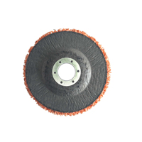 Disques à décapage pour meuleuse d'angle, disques à décapage de peinture pour surfaces métalliques, disques abrasifs