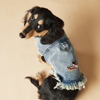 Gilet en denim brodé à franges pour animaux de compagnie printemps et été Gilet sans manches