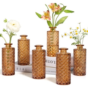 Jarrón de Vidrio Transparente Ámbar Cuadrado Pequeño de 6 Piezas, Decoración Moderna para el Hogar, Arreglo Floral, Jarrón Hidropónico de Escritorio, Jarrón para Bodas - Product Image 3