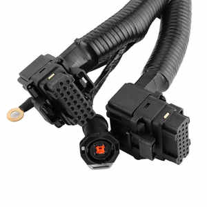 Faisceau de câblage d'injecteur de carburant Ford F-Series, faisceau de câblage moteur 5C3Z9D930A, applicable à des modèles spécifiques - Product Image 3