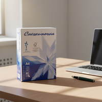 Papier copie A4 de qualité supérieure, 100% pâte de bois, 80 g/m², recyclé, personnalisé, 98-100% de luminosité, 500 feuilles/rame
