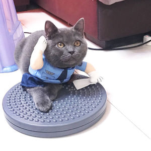 Tenue de Police d'halloween pour animaux de compagnie, vêtements de Transformation pour chien et chat, vêtements créatifs pour petit chien - Product Image 3
