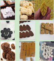 Machine à presser la poudre de sucre durable pour les cubes de boissons instantanées, les biscuits, les pâtisseries, les gâteaux, la fabrication de cubes de sucre pour le café