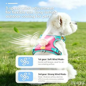 Harnais pour animaux de compagnie réglable et durable avec laisse, design classique et simple, motif uni, gilet en maille douce pour chiot, promenade en extérieur - Product Image 4