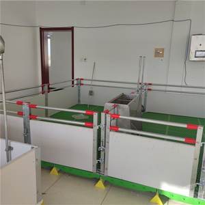 <span class=keywords><strong>Prix</strong></span> d'usine, cages <span class=keywords><strong>de</strong></span> mise bas pour truies à vendre, cages pour animaux d'élevage porcin, équipement d'élevage porcin, cage à porcs - Product Image 4