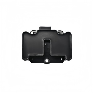 Adecuado para Golf 4, Old Sagitar, Santana, Passat, Touran, Lavida 2,0, Jetta <span class=keywords><strong>King</strong></span> Paquete de alto voltaje de bobina de encendido - Product Image 4