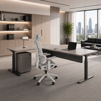 Cadre de bureau assis-debout ergonomique moderne à moteur unique, réglable électriquement en hauteur, avec contrôleur de mémoire multi-segments
