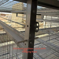 Cage à poulets automatique à plusieurs niveaux pour l'élevage intensif avec système d'abreuvement pour l'élevage de poulets à grande échelle