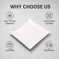 Assiette carrée jetable en pulpe de bagasse écologique de haute qualité, compostable, compatible micro-ondes, sans BPA, pour service alimentaire et fêtes