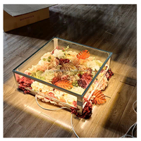 Plateforme de scène en verre de luxe KAVI pour mariage, LED transparente en plexiglas, magnifique, 60x60cm, extérieur
