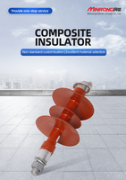 Aislante Compuesto de Cobre y Silicona FPQ1-10KV/4T20, Accesorios para Líneas de Distribución de Energía de Alto Voltaje, Protección de Aislamiento