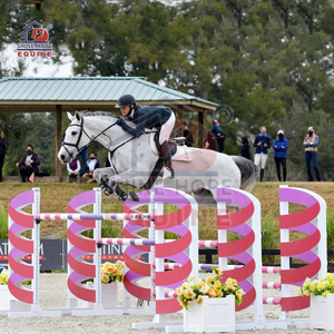 Attrezzatura equestre in alluminio Shinehope prodotti per cavalli cavallo salto ala - Product Image 4
