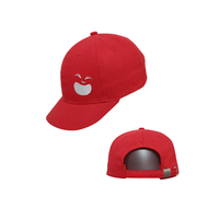 Gorra de Béisbol de 6 Paneles Personalizable de Alta Calidad con Tela 100% Algodón Impermeable, Ajustable para Ir de Compras, Empaquetada en Cartón