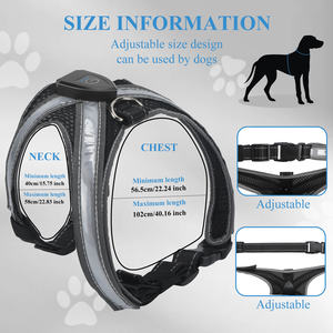 Lampu <span class=keywords><strong>LED</strong></span> berkedip untuk anjing, lampu <span class=keywords><strong>LED</strong></span> modis Sporty keamanan malam nilon bersinar untuk anjing - Product Image 6