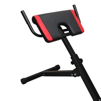 Banc de fitness à structure métallique durable pour la maison, entraînement abdominal, renforcement du corps entier, chaise romaine