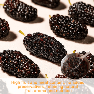 Meistverkaufte Natürliche Fruchtige Aroma-Maulbeersauce mit Hoher Reinheit und Reichhaltigem Duft für Gebäckfüllungen - Product Image 5