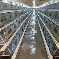 Nouvelles cages à poulets HENGQI HQ-144 à 3/4 niveaux pour 10 000 poulettes, en acier galvanisé, faciles à utiliser, longue durée de vie (15-20 ans)